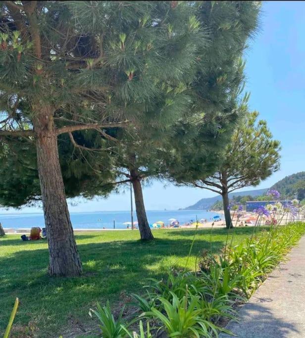 Setubal Rp House Apartamento Perto Do Mar E Comercio Na Luisa Todi Eksteriør billede